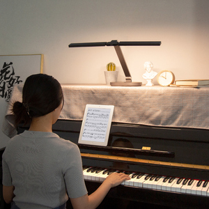 菲普顿钢琴灯练琴专用可充电led全光谱护眼学习专业弹琴乐谱台灯