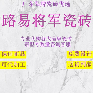 路易将军瓷砖现代防滑砖室内卧室阳台亮客厅厨房餐厅卫生间简约砖