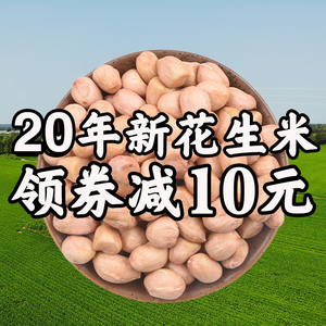 东北生花生米不带壳散装大新花生米2023生晒干新鲜货农家5斤