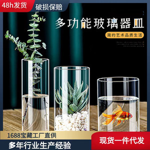 透明玻璃花瓶微景观空瓶子插花植物摆件富贵竹水培直筒罐 蜡烛杯