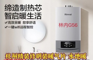 杭州林内G56明装暖气片老房子精装修墙暖水地暖散热器