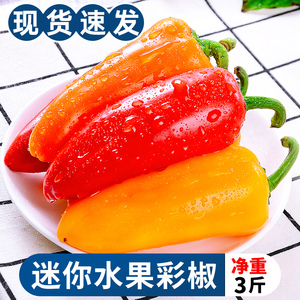 迷你水果彩椒3斤当季新鲜五彩甜椒生吃红灯笼小辣椒蔬菜整箱包邮