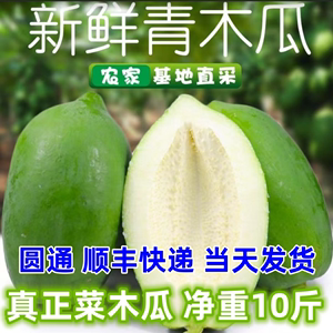 新鲜现摘广西青木瓜番木瓜产妇用下奶树上熟农家应季水果10斤包邮