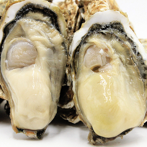 乳山牡蛎鲜活生蚝10斤新鲜带壳海蛎子正宗威海海鲜水产