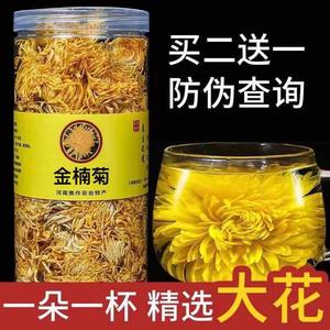 金楠菊官网正品河南洛阳黄菊贡菊非胎菊去火清热富硒金南菊花茶M9