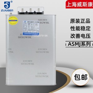 上海威斯康ASMJ0.45/0.48/0.525-30-3/1自愈式并联滤波电力电容器