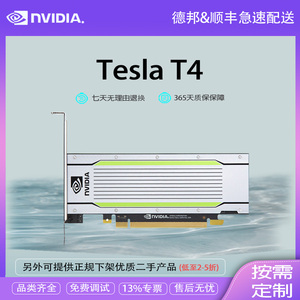 英伟达（NVIDIA）Tesla T4 16GB AI高性能计算加速GPU 显卡训练卡