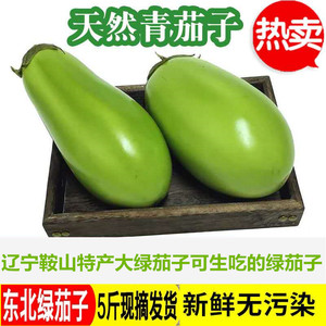 东北新鲜蔬菜绿茄子农家自种青茄现摘现发生吃大绿茄子斤包邮