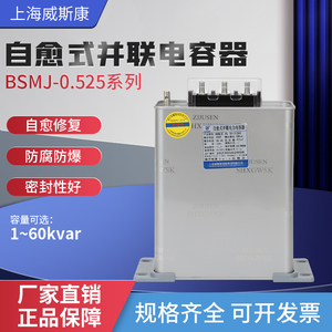 上海威斯康 BSMJ0.525-15/20/25/30/40/50-3自愈式低压并联电容器