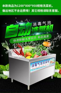 果蔬解毒机臭氧气泡式全自动厨房酒店洗菜机商用大型不锈钢洗菜机