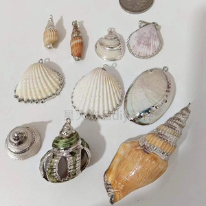 天然贝壳电镀海螺包边银色耳环钥匙扣挂件diy手工材料饰品配件