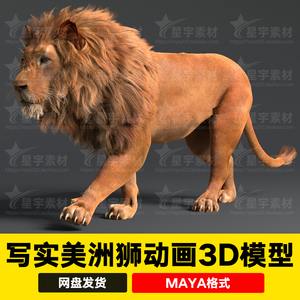 maya写实美洲狮非洲狮子雄狮猫科动物骨骼绑定走路动画3D模型xgen