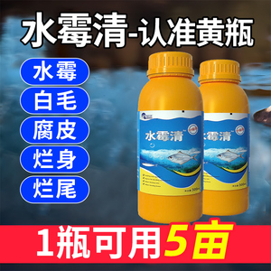 水霉病专治鱼药水霉清硫醚沙星水产养殖白毛病腐皮烂鳃烂尾水霉净