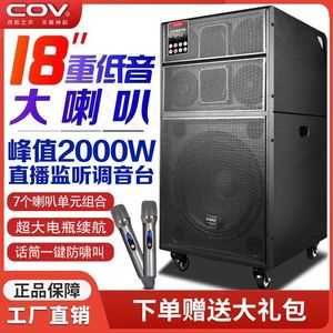 COV户外广场舞台婚庆演出专业音响18寸大功重低音高端线阵音箱