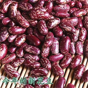 紫花芸豆5斤 农家自种红花云新货豆子豆米火锅酸菜豆米花芸豆包邮