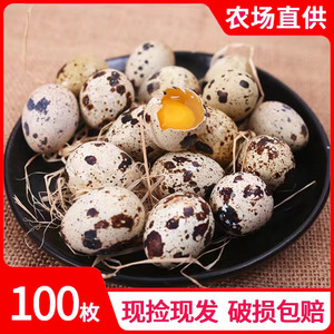 100颗新鲜鹌鹑蛋宝宝辅食农家杂粮小鸟蛋自养食用农产品新鲜当天