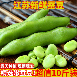 蚕豆新鲜蔬菜农家自种带壳嫩胡豆5斤装包邮当季时令鲜蚕豆现摘