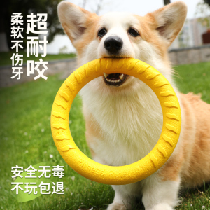 狗狗玩具耐咬巡回飞盘训练专用消耗体力自嗨圆环磨牙宠物橡胶软球