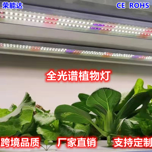 T8T5植物灯全光谱植物生长灯管幼苗种植花草多肉蔬菜植物补光灯CE