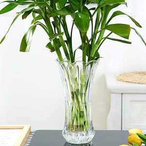 水养大号玻璃花瓶摆件家用客厅简约现代透明插花干花水培富贵竹瓶