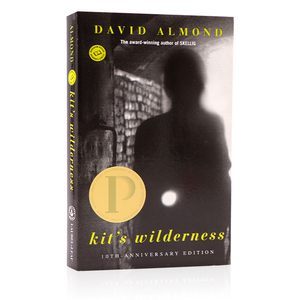 普林兹文学奖 旷野迷踪英文原版小说 Kit's Wilderness 死亡与爱主题 大卫阿尔蒙德作品 David Almond 青少年儿童经典文学获奖书籍