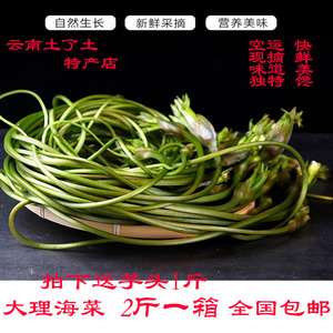 大理海菜新鲜蔬菜水果水性杨花云南野菜洱海丽江特产 2斤空运包邮