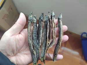 大别山自然生长泥鳅干无盐泥鳅去内脏食用农产品原味干泥鳅可药用