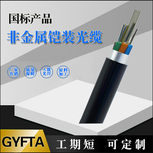 GYFTA-12B1管道架空FRP单模光纤4/8/16/24/48/96芯铠装非金属光缆