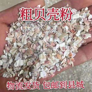 通用粗细贝壳粉80斤高钙贝壳粉产蛋鸡鸭鹅鸽子信鸽保健砂补钙包邮