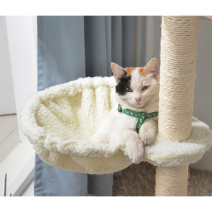 猫爬架配件绒布猫勺加厚猫窝垫吊床等猫咪用品满50元联系客服包邮