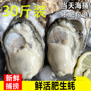 生蚝30斤广东包邮鲜活带壳新鲜牡蛎水产海鲜海蛎子烧烤食材