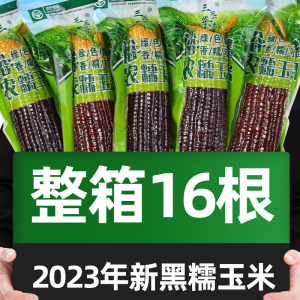 甜黑玉米糯米正宗东北粘玉米新鲜减棒低脂期水果即食真空装包装袋