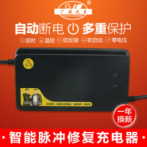 （自动断电）电动车电瓶充电器48V20AH/60V20AH新日爱玛祖玛台铃