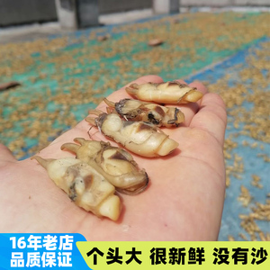 蛏干干货500g新鲜无沙海鲜水产福建莆田特产淡晒大海蛏子肉圣子干