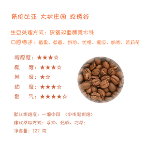 【Leo‘s Coffee】哥伦比亚大树庄园厌氧双重水洗玫瑰谷 咖啡豆