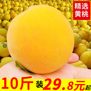 现摘砀山黄桃10整箱新鲜水果桃子应季孕妇蜜桃脆甜桃时令大果特产