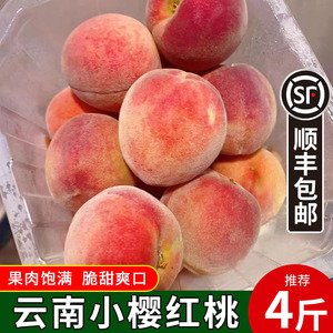 【顺丰包邮】云南小樱桃子2盒/4盒装当季现货脆甜毛桃新鲜水果