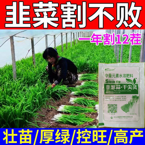 韭菜专用肥料防治干尖黄叶韭菜粗又壮叶面肥厚增粗浓绿抗病增产肥