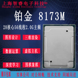 Intel Platinum 铂金 8173M CPU 正式版 28核56线程 超8170 8176