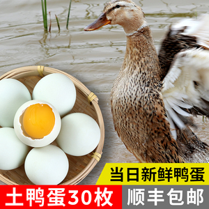 30枚土鸭蛋 散养麻鸭蛋 青壳绿壳生鸭蛋 生态新鲜鸭蛋 可做咸鸭蛋
