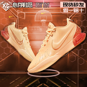 Nike耐克Lebron21勒布朗21代詹姆斯21代篮球鞋运动实战FV2346-800