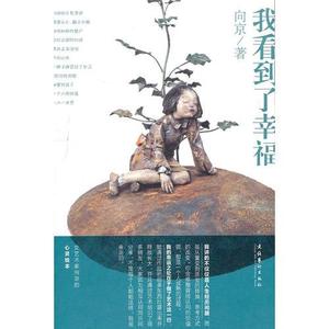 正版书_我看到了幸福 向京著 文化艺术出版社9787503950186