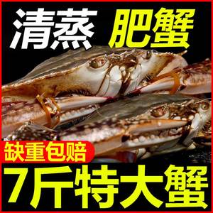 东海梭子蟹新鲜冷冻公蟹当日现捕蟹飞蟹白蟹海蟹公蟹母蟹螃蟹批发