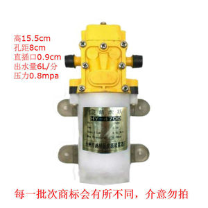 抽水机配件浇花小马达高压泵12v超高压小型药桶电动喷雾器水泵