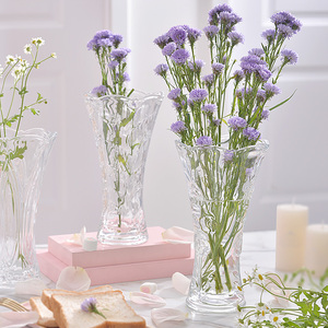 鲜花玻璃花瓶透明适合餐桌摆放的花瓶康乃馨插花瓶文艺客厅摆件