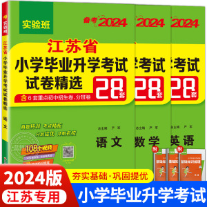 2024新版小升初江苏省小学毕业升学考试试卷精选28套卷语文数学英语全套六年级下册毕业升学系统总复习资料苏教版真题卷必刷题春雨