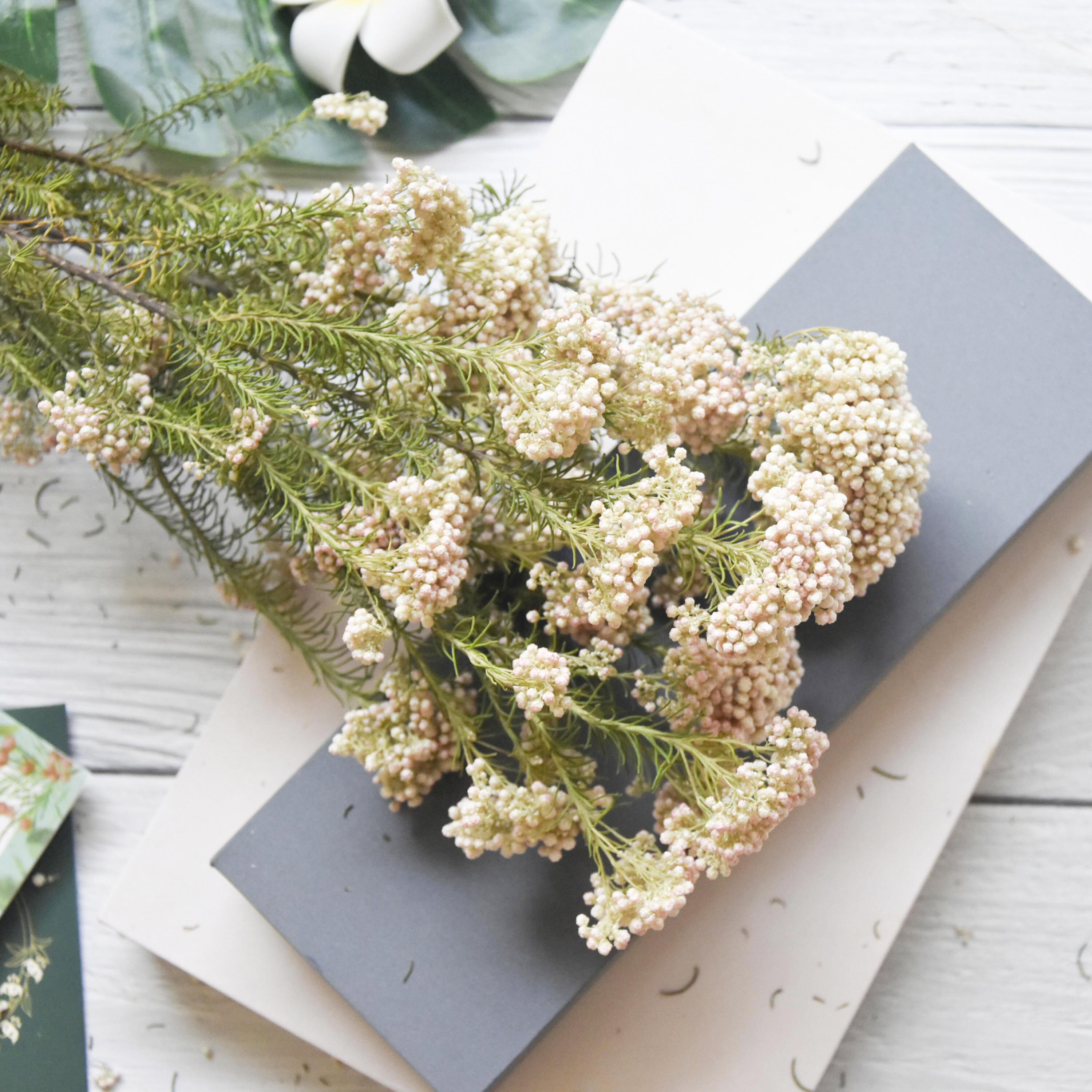 小米花 头条搜索