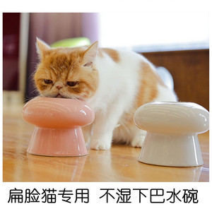 防湿嘴水碗不湿下巴肚扁脸宠物加菲猫专用扁脸碗法斗波斯喝水碗