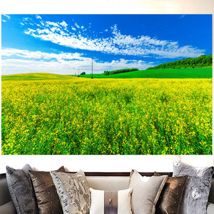 蓝天白云黄色花朵油菜花青山绿草地客厅沙发背景墙自粘贴纸装饰画