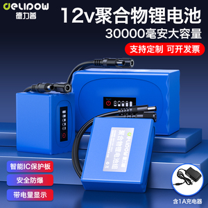 德力普聚合物12v锂电池移动电源大容量电瓶音响LED灯12伏电池组